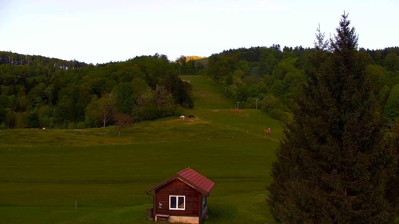 Camera en vivo Lokve – La belleza del bosque de Trnovo