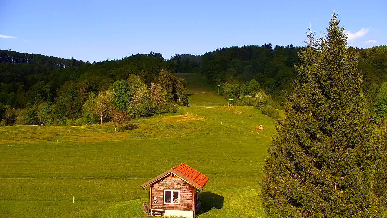 Camera en vivo Lokve – La belleza del bosque de Trnovo
