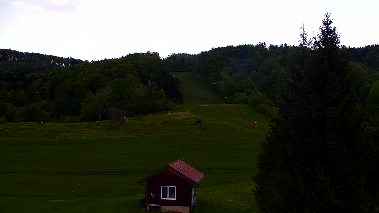 Webcam Lokve – The beauty of the Trnovo forest