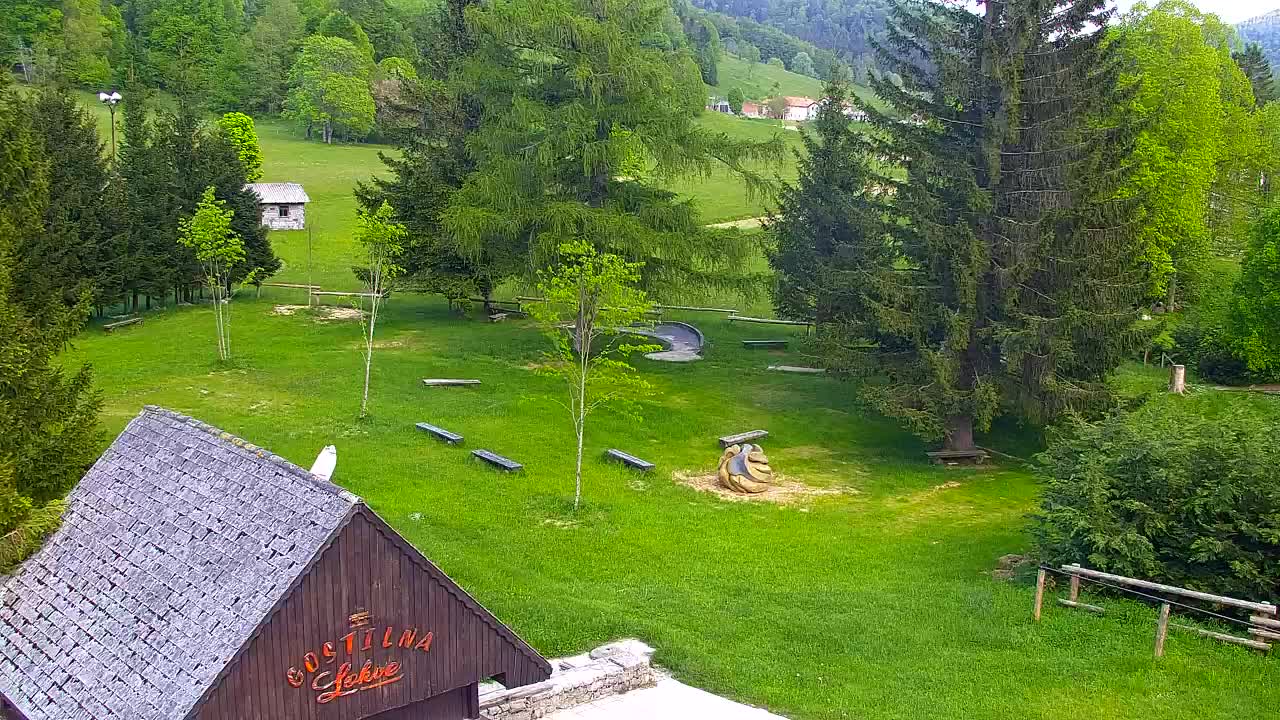 Webcam Lokve – La beauté de la forêt de Trnovo