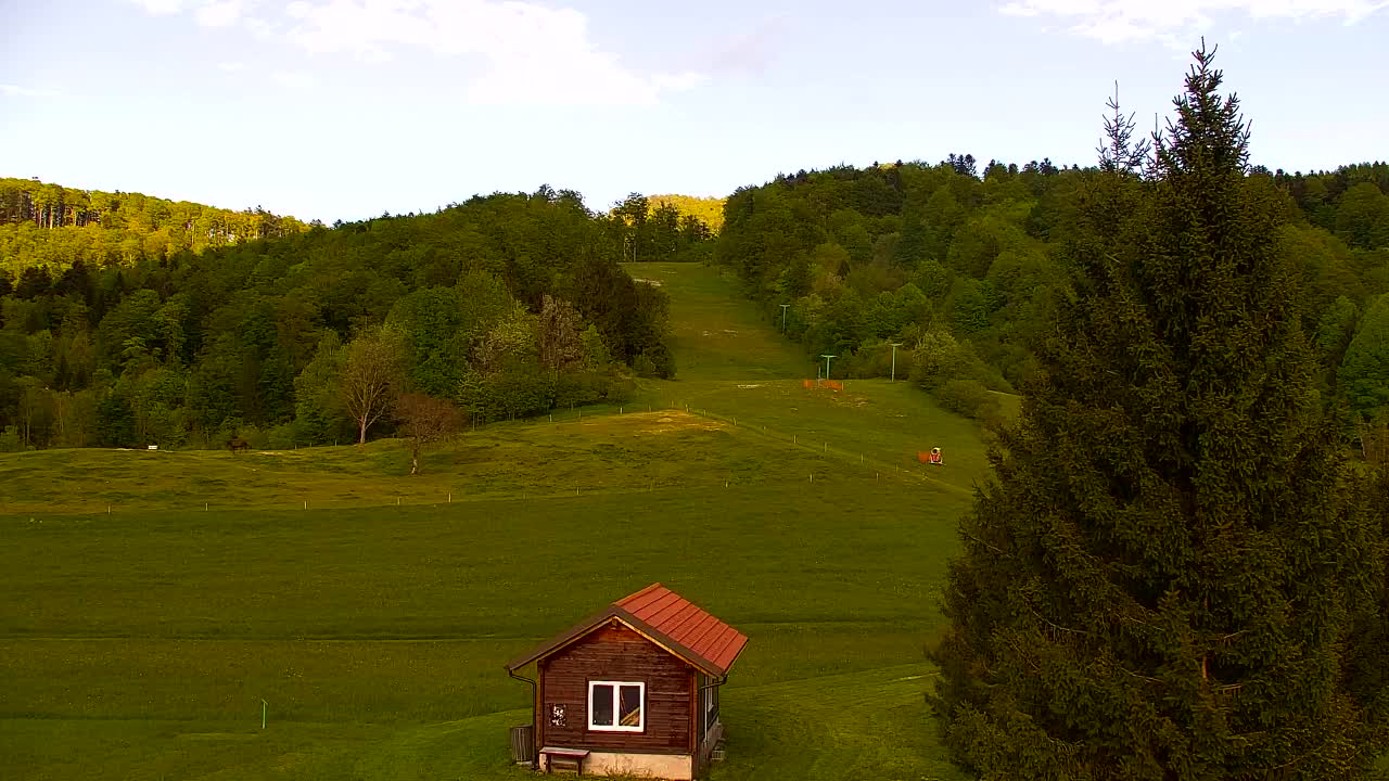 Webcam Lokve – La beauté de la forêt de Trnovo