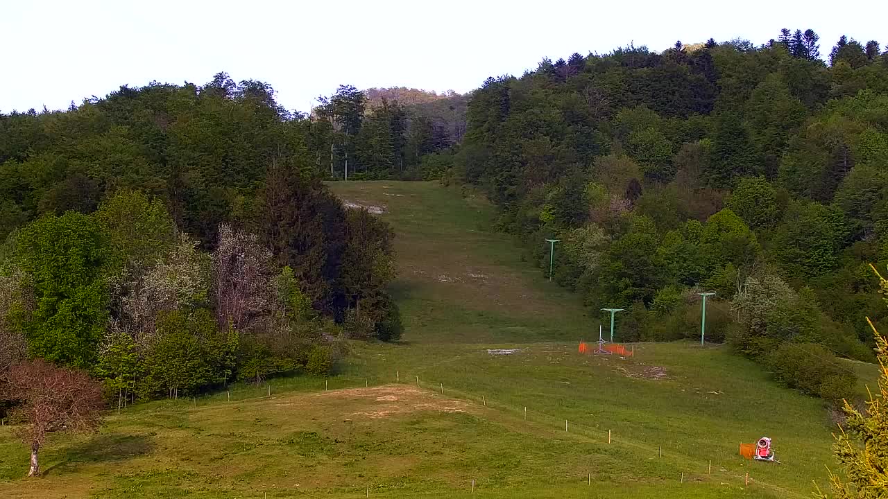 Webcam Lokve – Die Schönheit des Trnovo-Waldes
