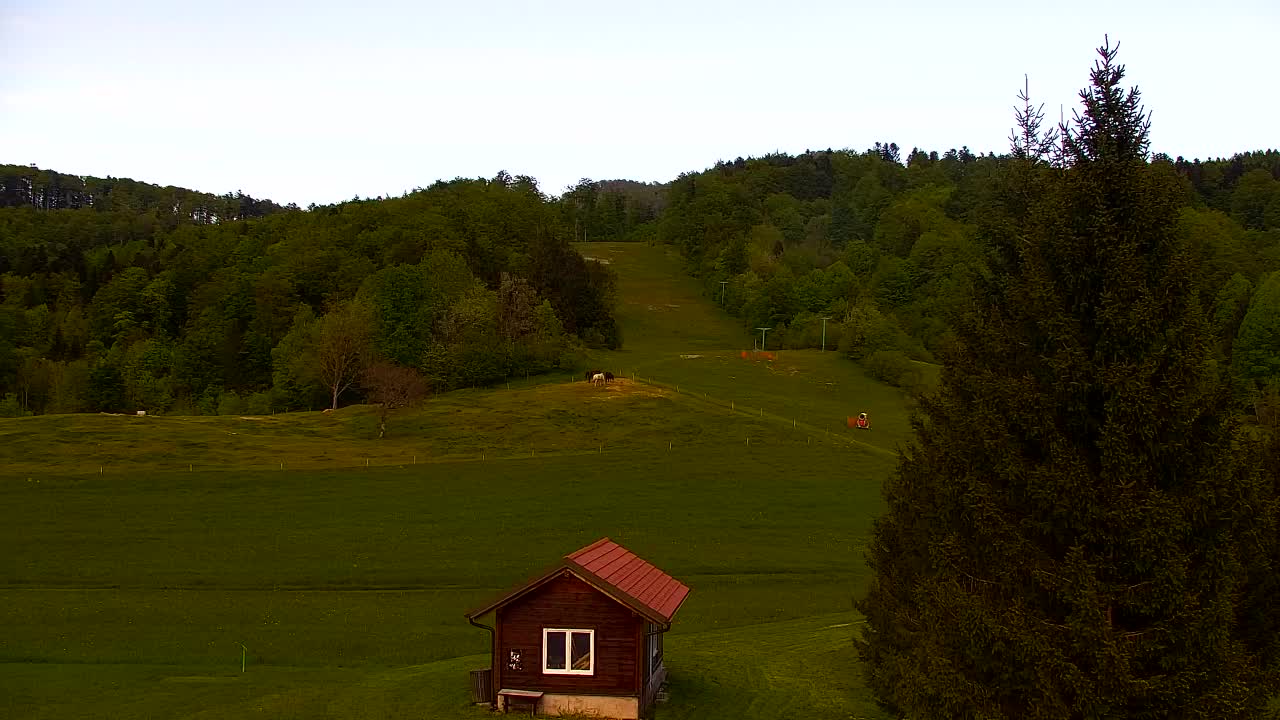Lokve kamera – Naravne lepote Trnovskega gozda