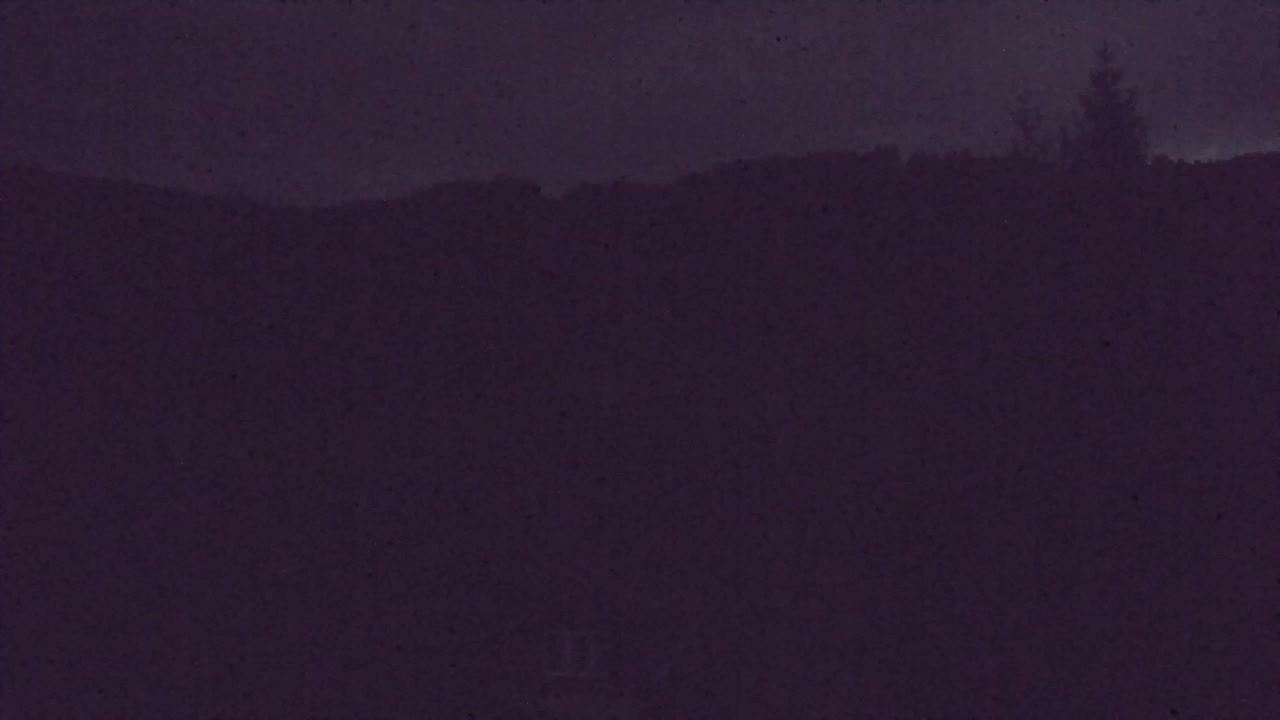 Webcam Loqua / Lokve – La bellezza della selva di Tarnova