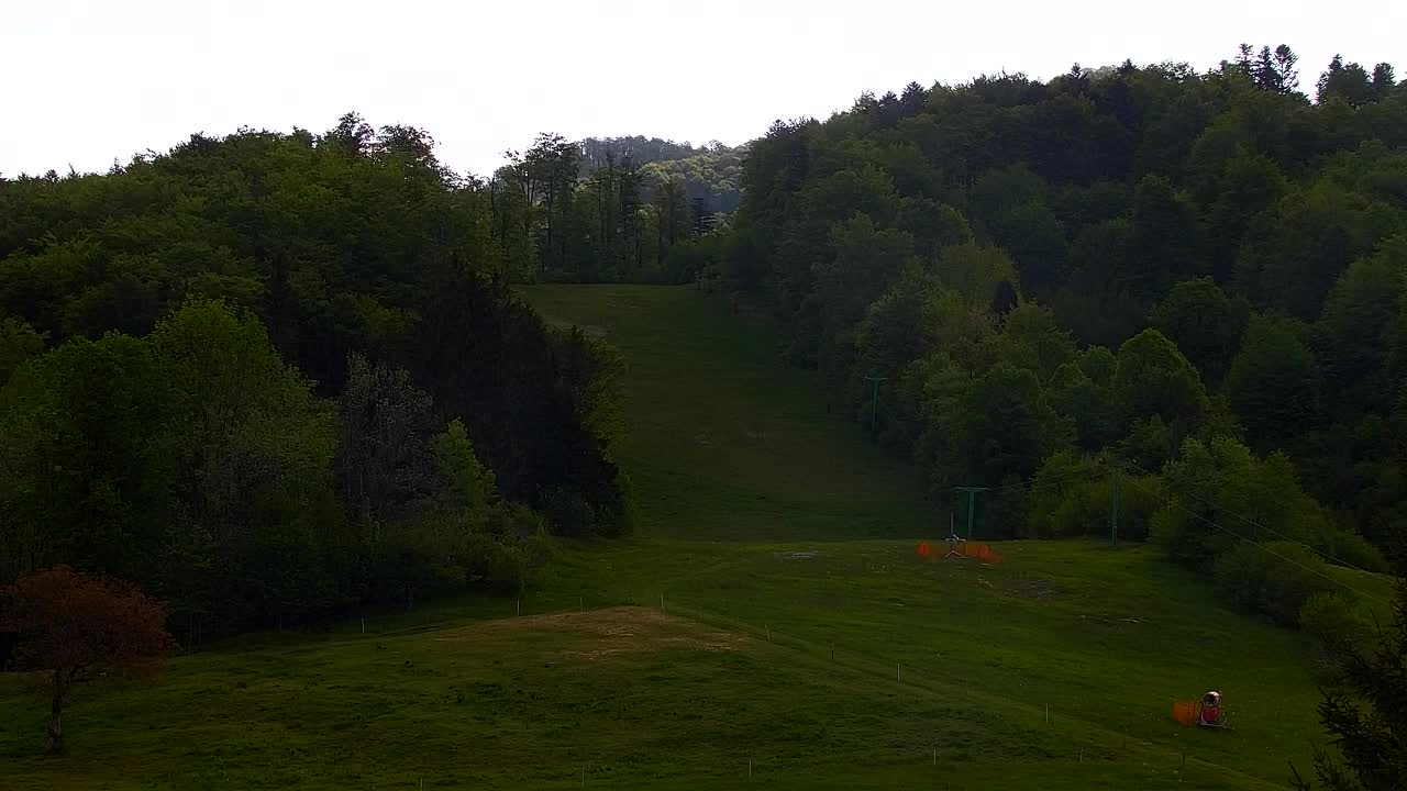 Webcam Lokve – La beauté de la forêt de Trnovo