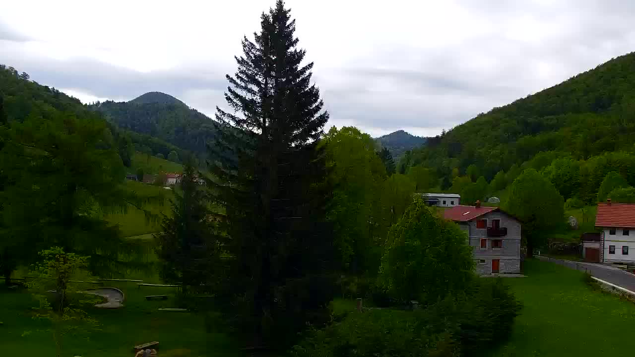 Webcam Loqua / Lokve – La bellezza della selva di Tarnova