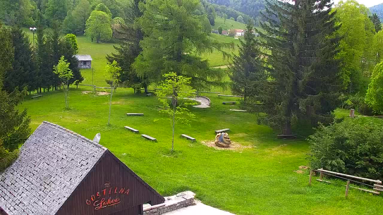 Camera en vivo Lokve – La belleza del bosque de Trnovo