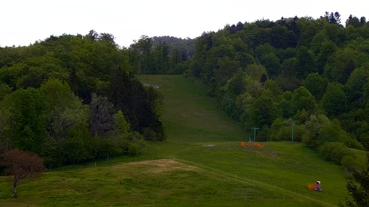 Webcam Lokve – La beauté de la forêt de Trnovo