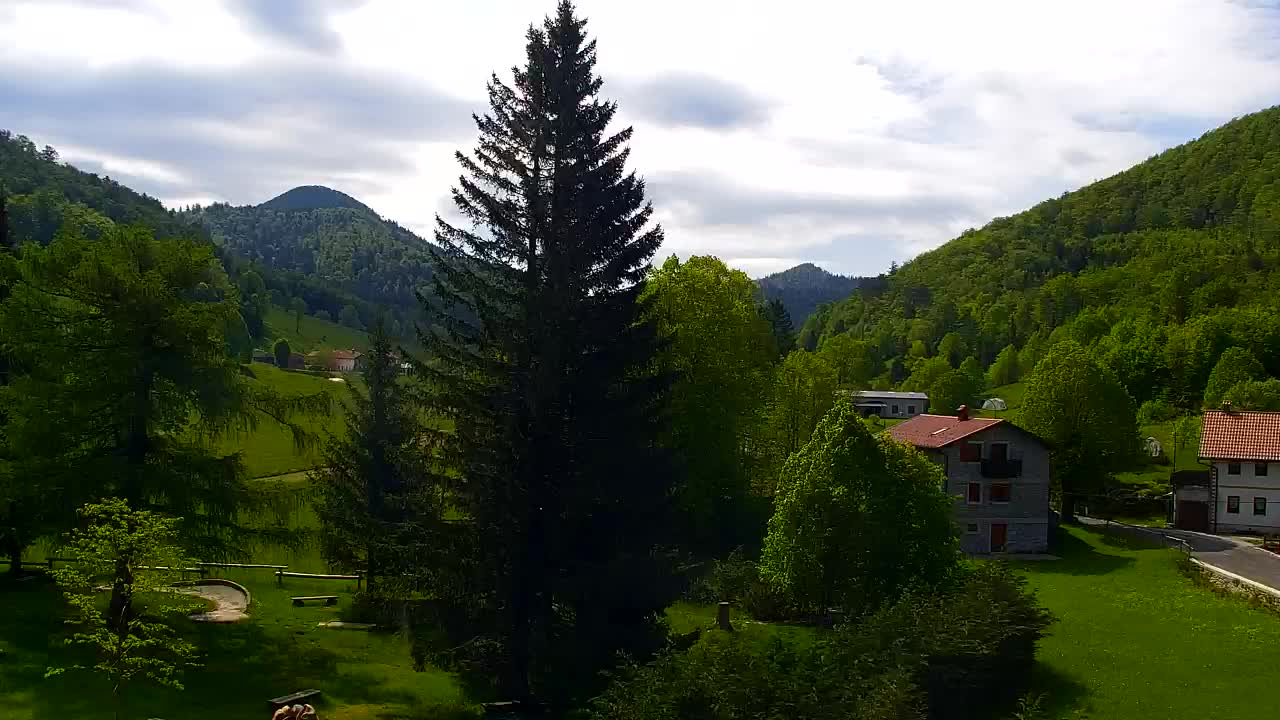 Webcam Lokve – La beauté de la forêt de Trnovo