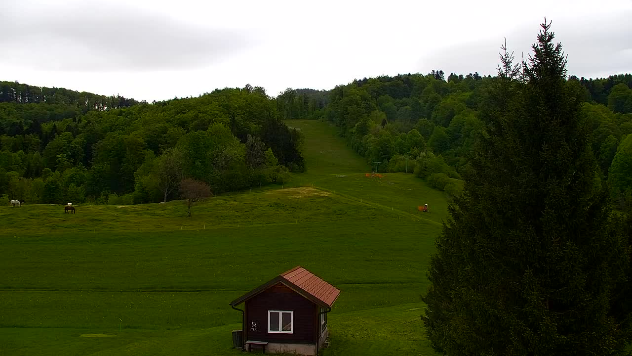 Webcam Lokve – La beauté de la forêt de Trnovo
