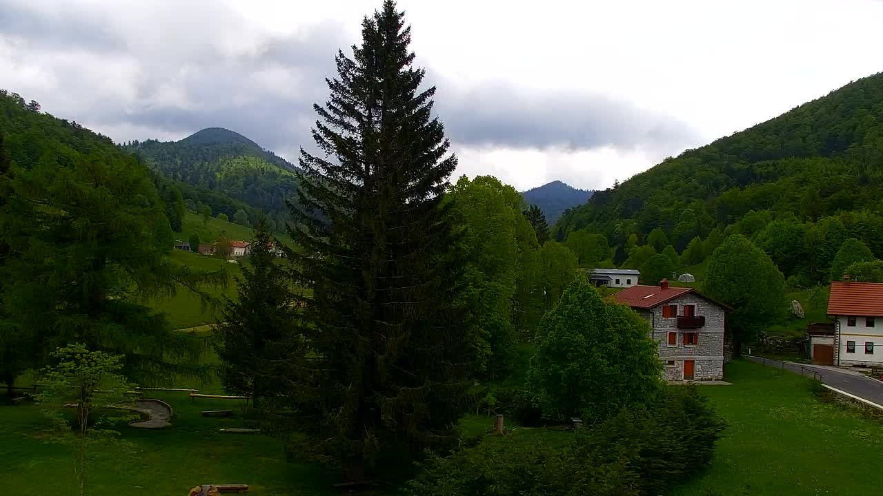 Webcam Lokve – The beauty of the Trnovo forest