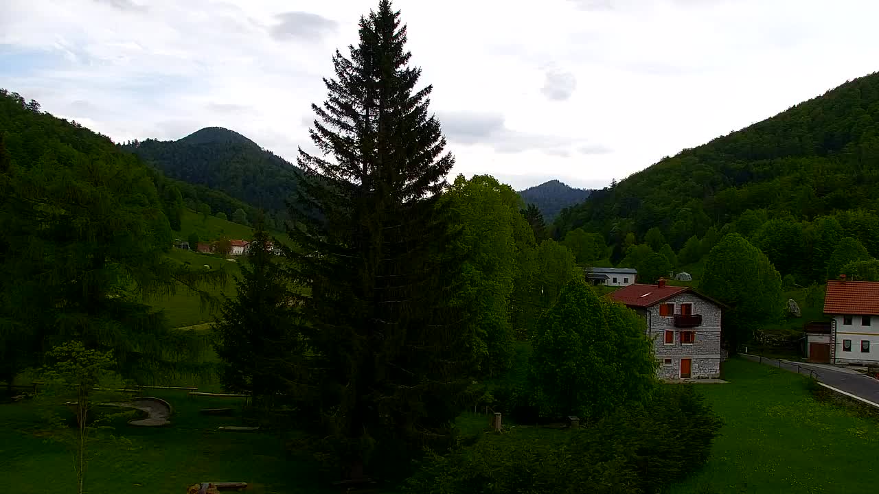 Webcam Loqua / Lokve – La bellezza della selva di Tarnova