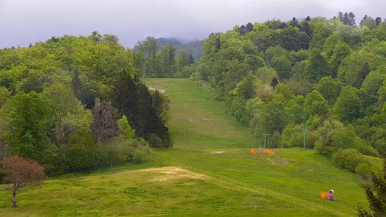 Webcam Lokve – La beauté de la forêt de Trnovo