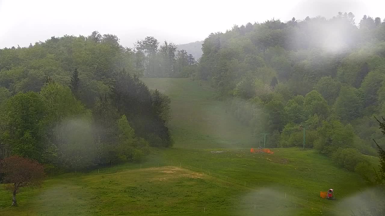 Webcam Lokve – The beauty of the Trnovo forest