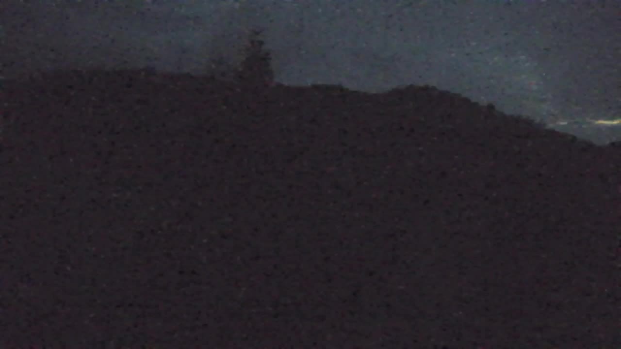 Webcam Loqua / Lokve – La bellezza della selva di Tarnova