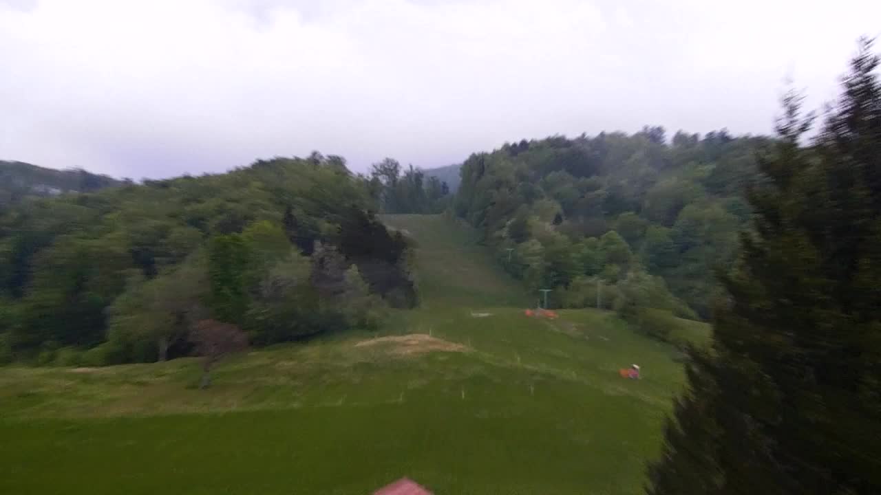 Webcam Loqua / Lokve – La bellezza della selva di Tarnova