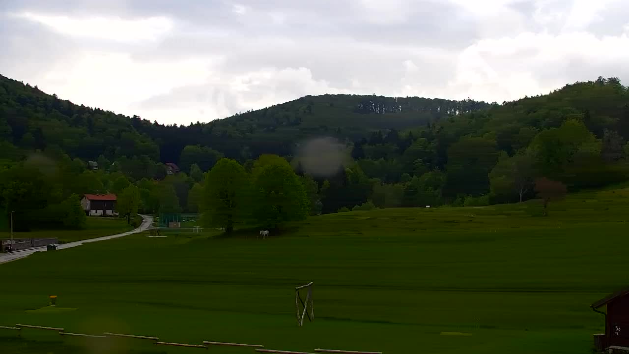 Webcam Lokve – La beauté de la forêt de Trnovo