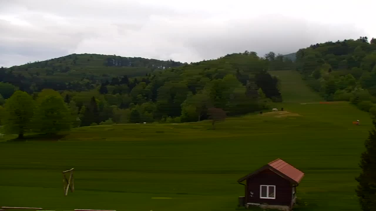 Webcam Lokve – The beauty of the Trnovo forest