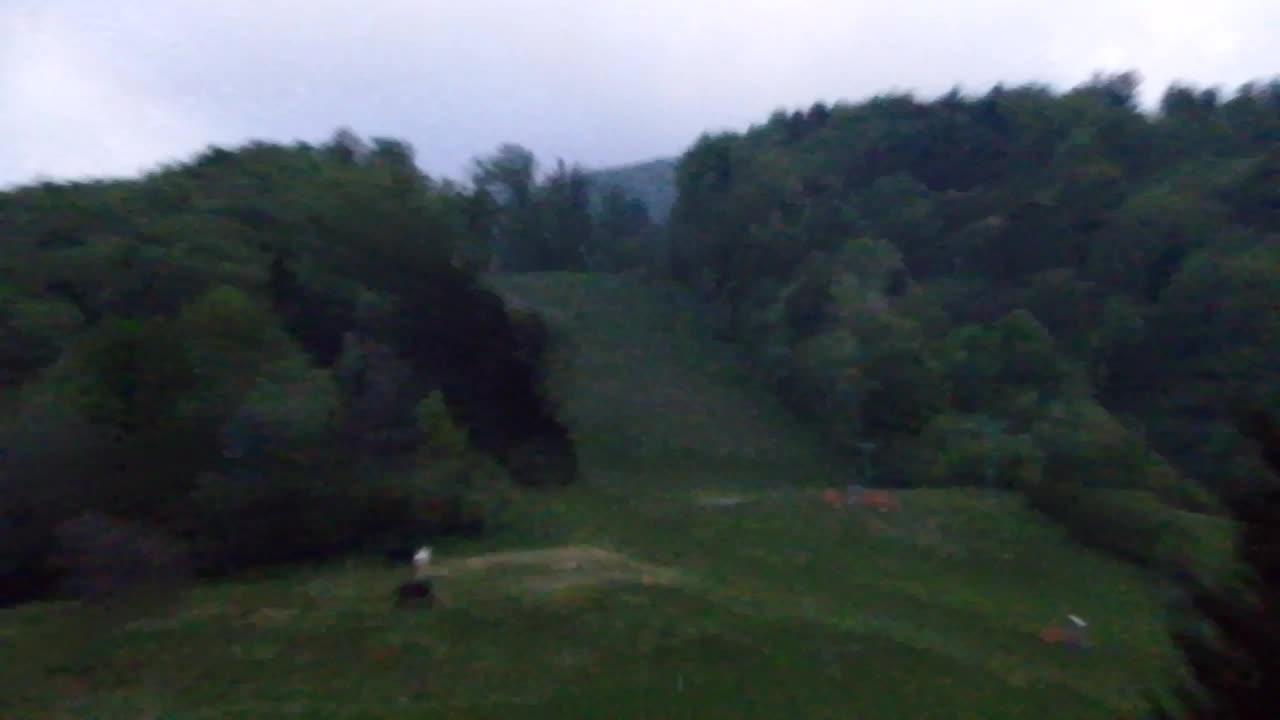 Webcam Lokve – The beauty of the Trnovo forest
