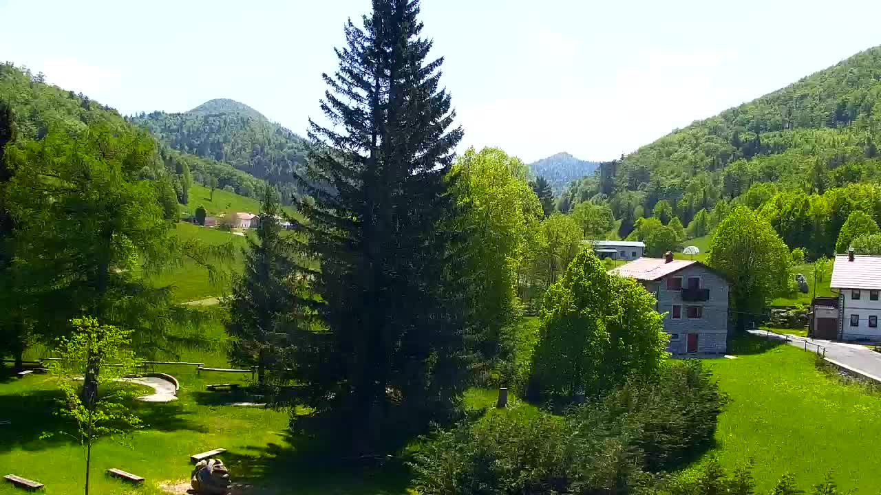 Webcam Loqua / Lokve – La bellezza della selva di Tarnova
