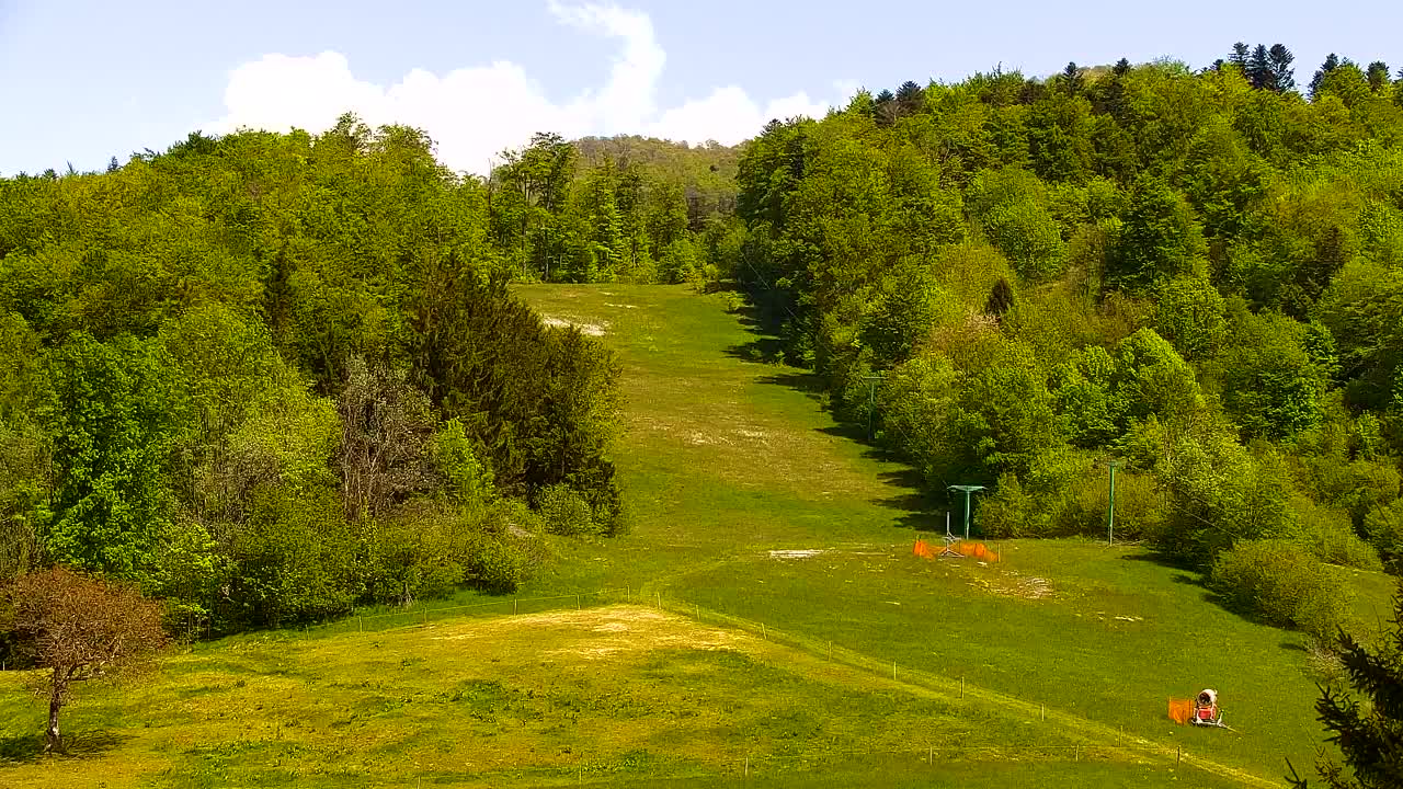 Webcam Loqua / Lokve – La bellezza della selva di Tarnova
