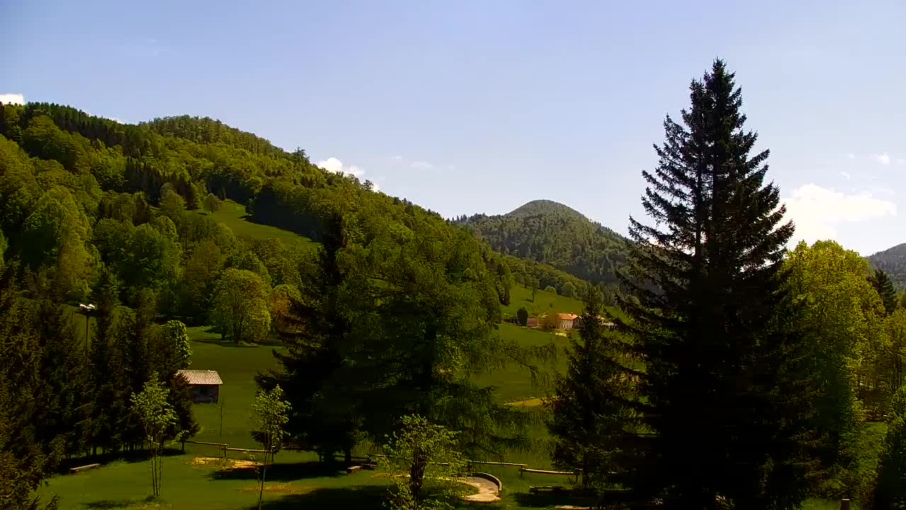 Webcam Lokve – La beauté de la forêt de Trnovo