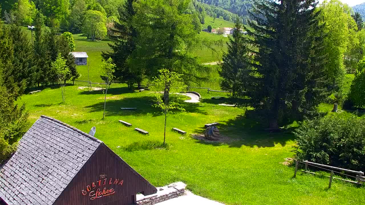 Camera en vivo Lokve – La belleza del bosque de Trnovo