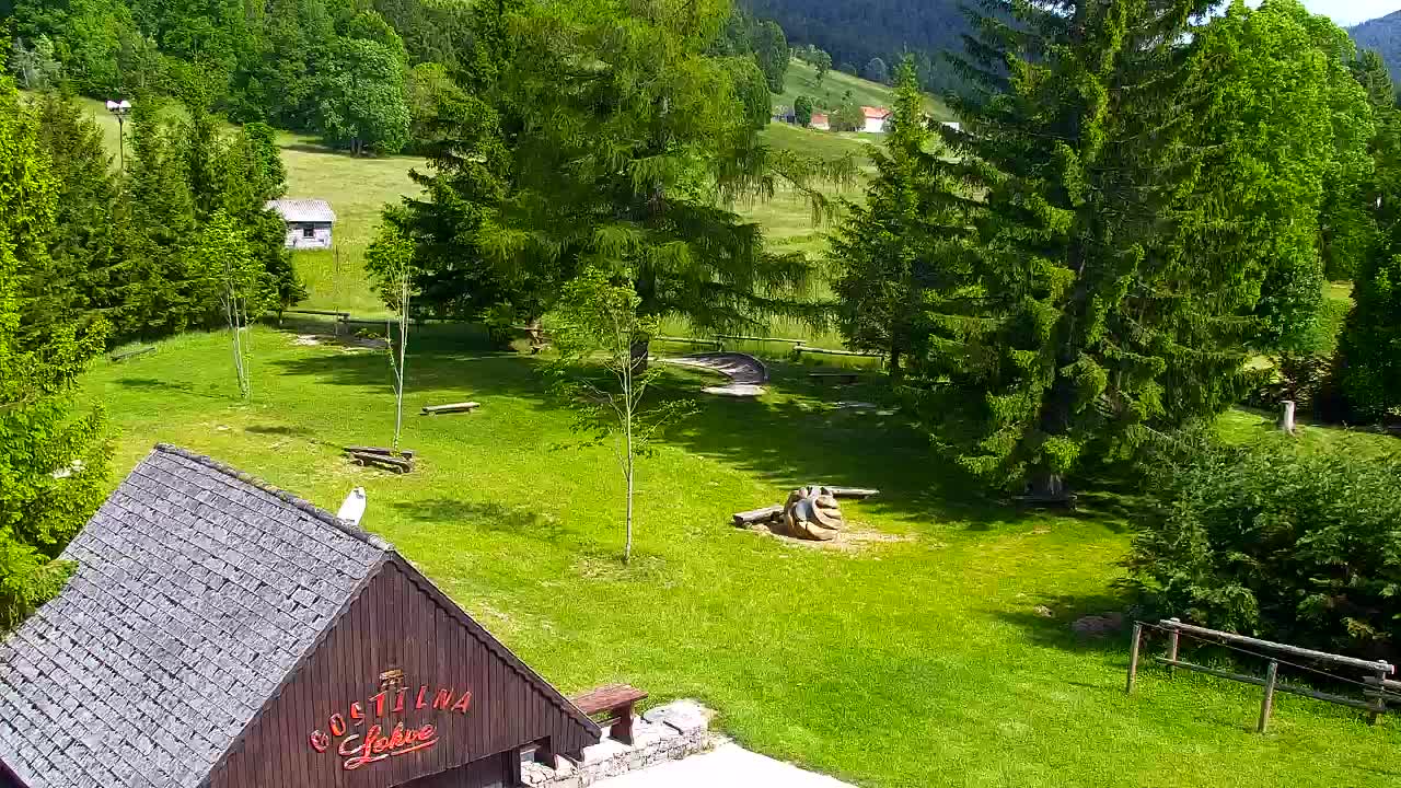 Webcam Lokve – La beauté de la forêt de Trnovo
