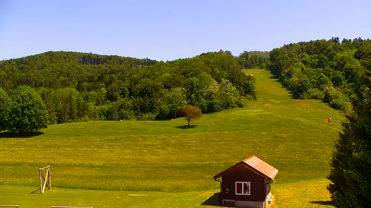 Webcam Lokve – La beauté de la forêt de Trnovo