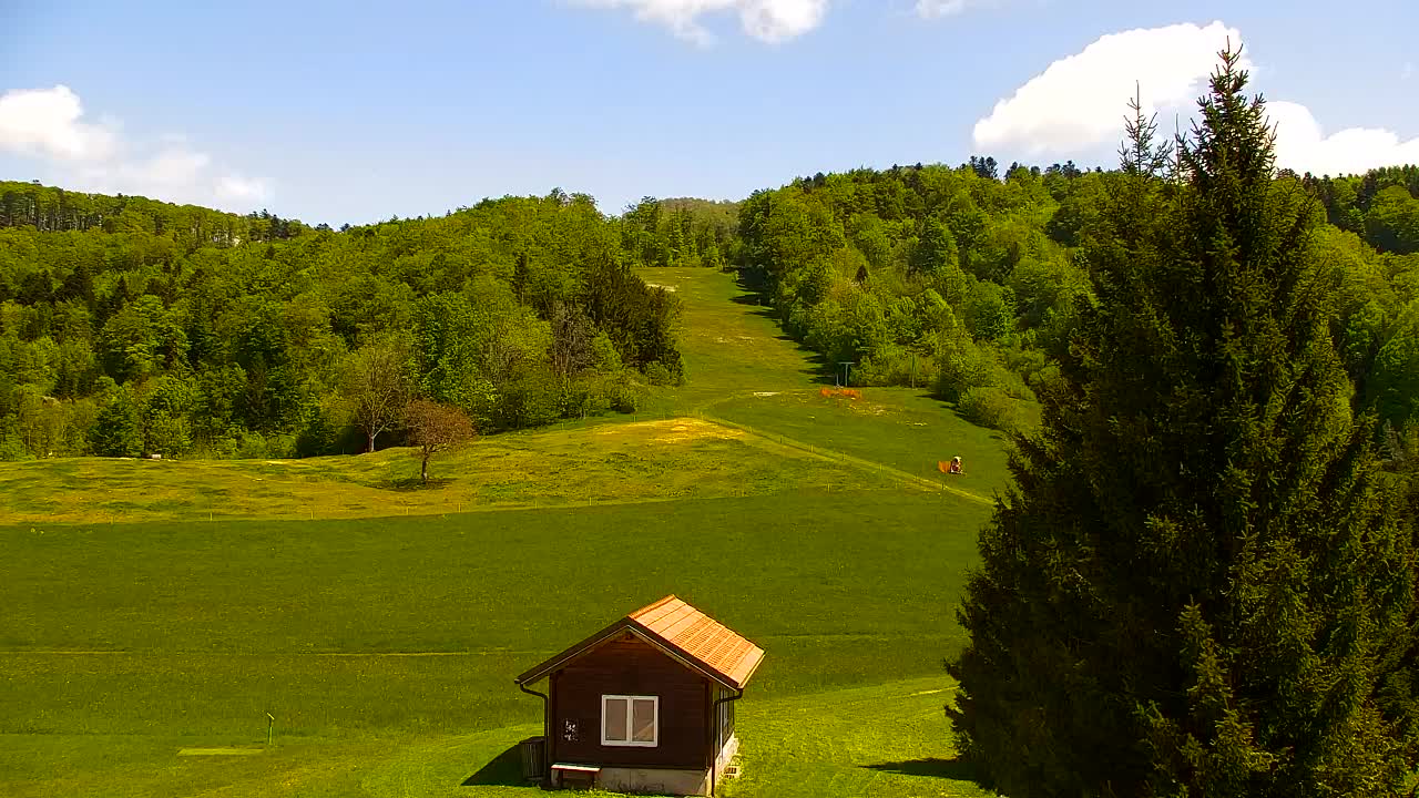 Webcam Lokve – The beauty of the Trnovo forest