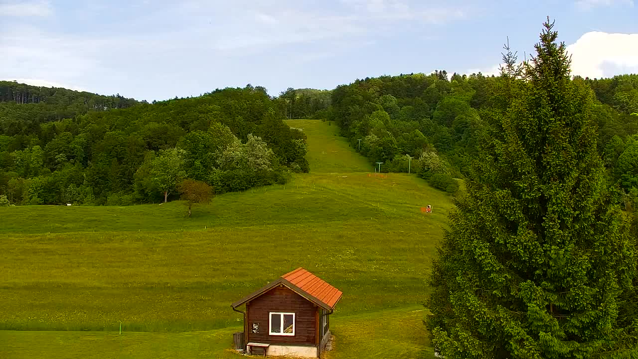 Webcam Lokve – The beauty of the Trnovo forest
