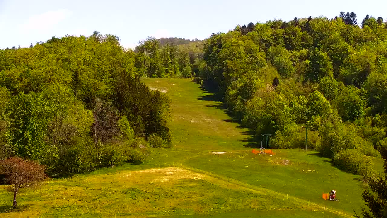 Webcam Lokve – La beauté de la forêt de Trnovo
