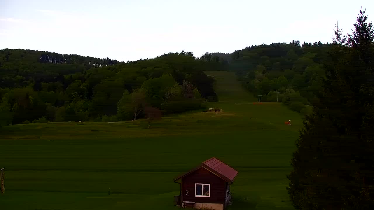Webcam Lokve – The beauty of the Trnovo forest