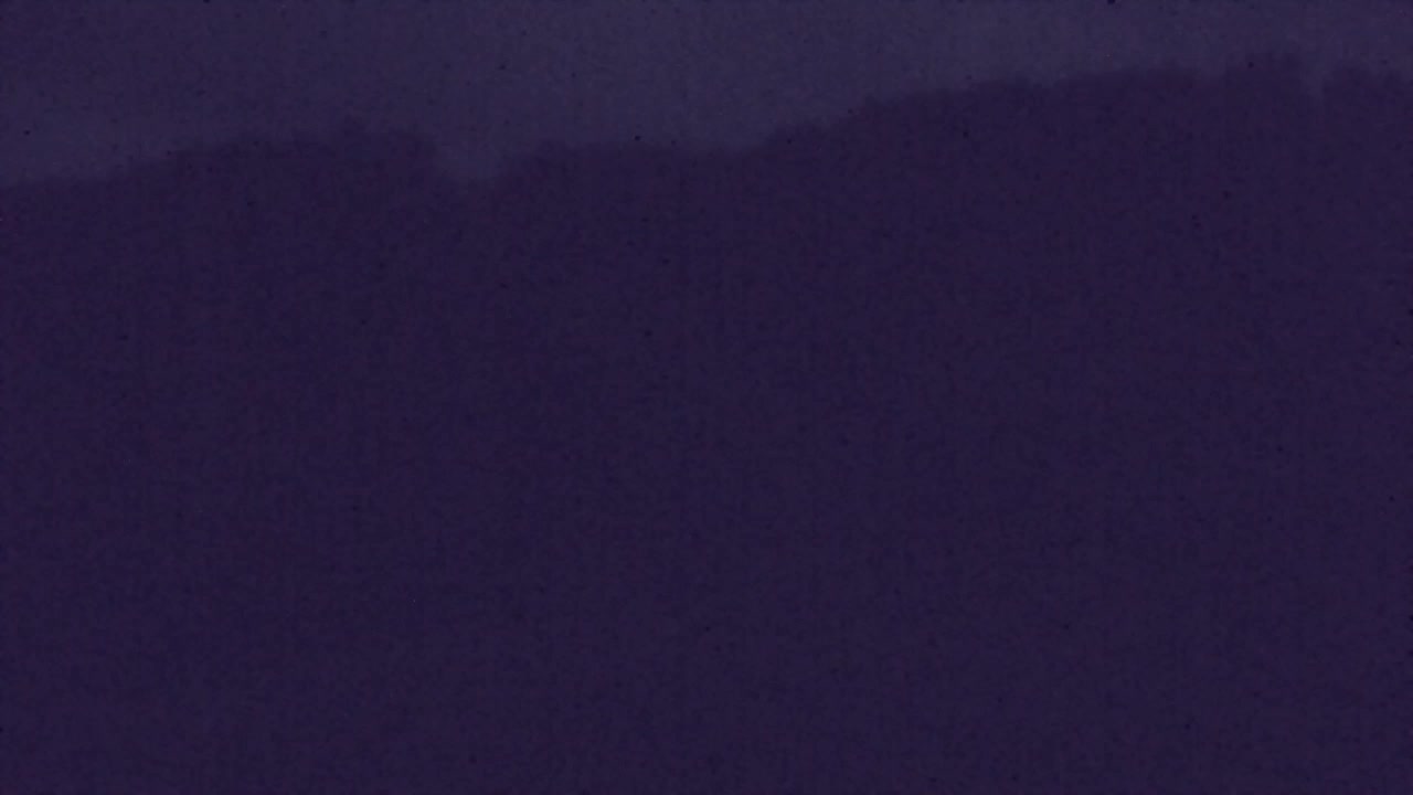 Webcam Loqua / Lokve – La bellezza della selva di Tarnova