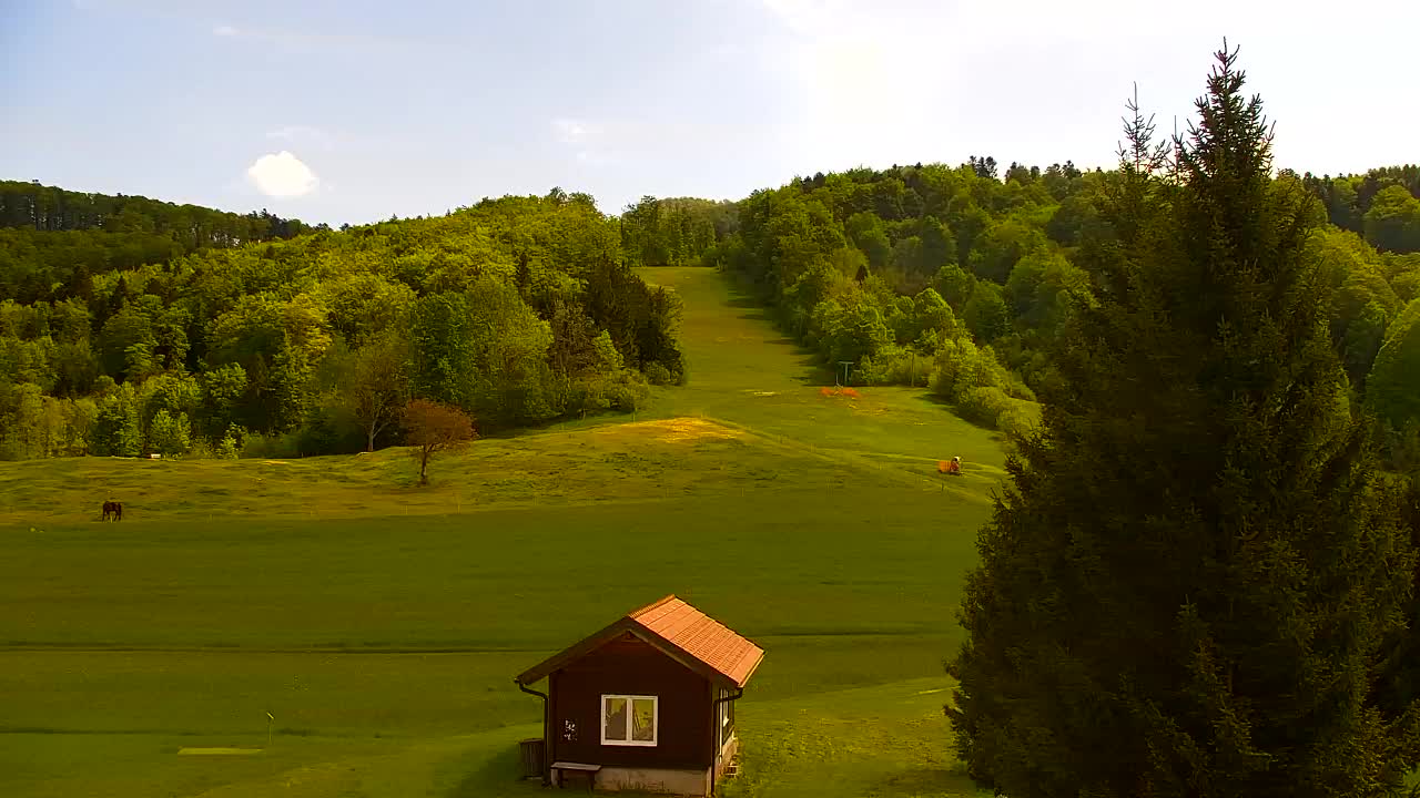 Webcam Loqua / Lokve – La bellezza della selva di Tarnova