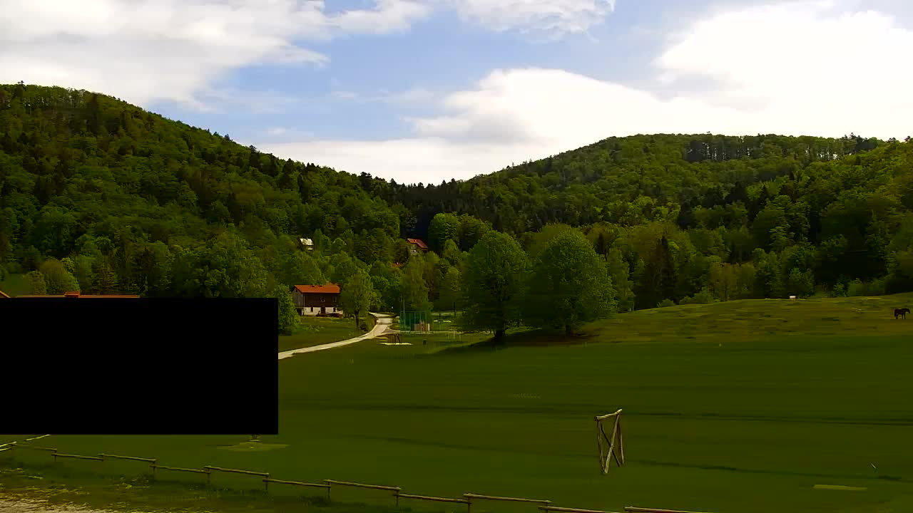 Webcam Loqua / Lokve – La bellezza della selva di Tarnova