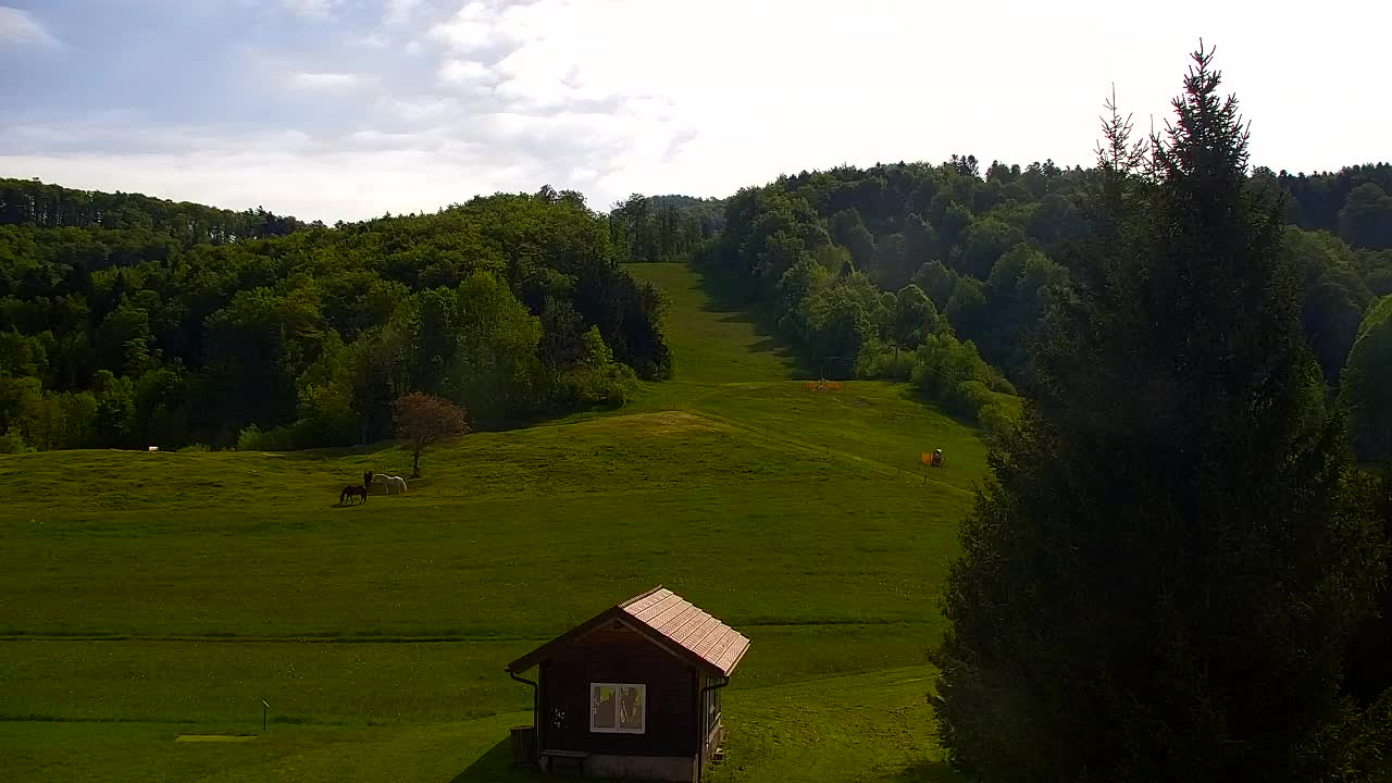 Lokve kamera – Naravne lepote Trnovskega gozda
