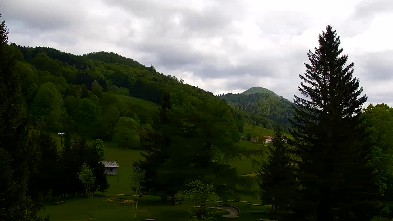 Webcam Loqua / Lokve – La bellezza della selva di Tarnova