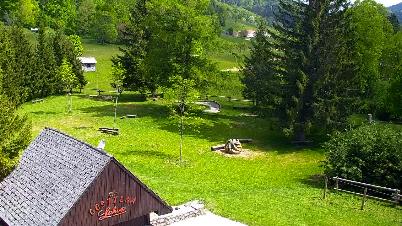 Webcam Loqua / Lokve – La bellezza della selva di Tarnova
