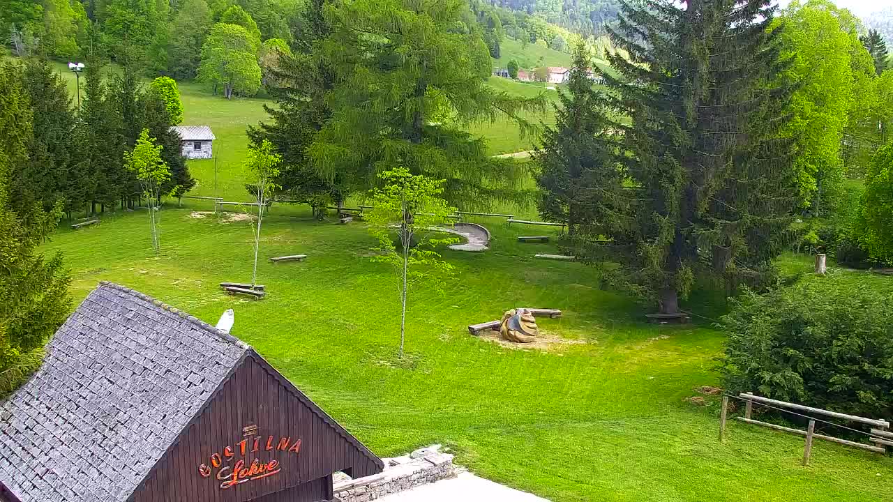 Webcam Loqua / Lokve – La bellezza della selva di Tarnova