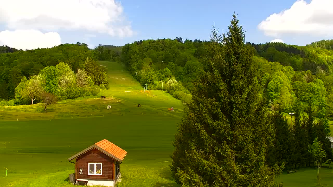 Webcam Lokve – The beauty of the Trnovo forest