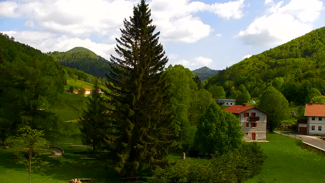 Webcam Lokve – La beauté de la forêt de Trnovo