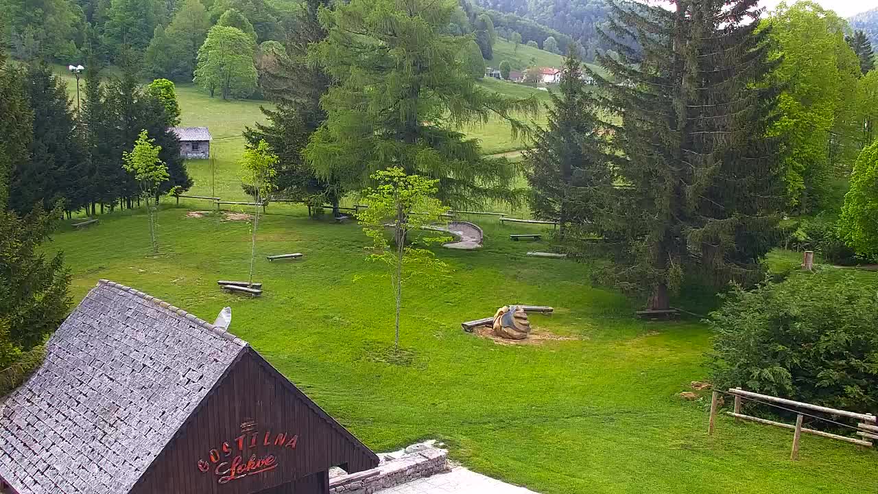 Webcam Lokve – The beauty of the Trnovo forest