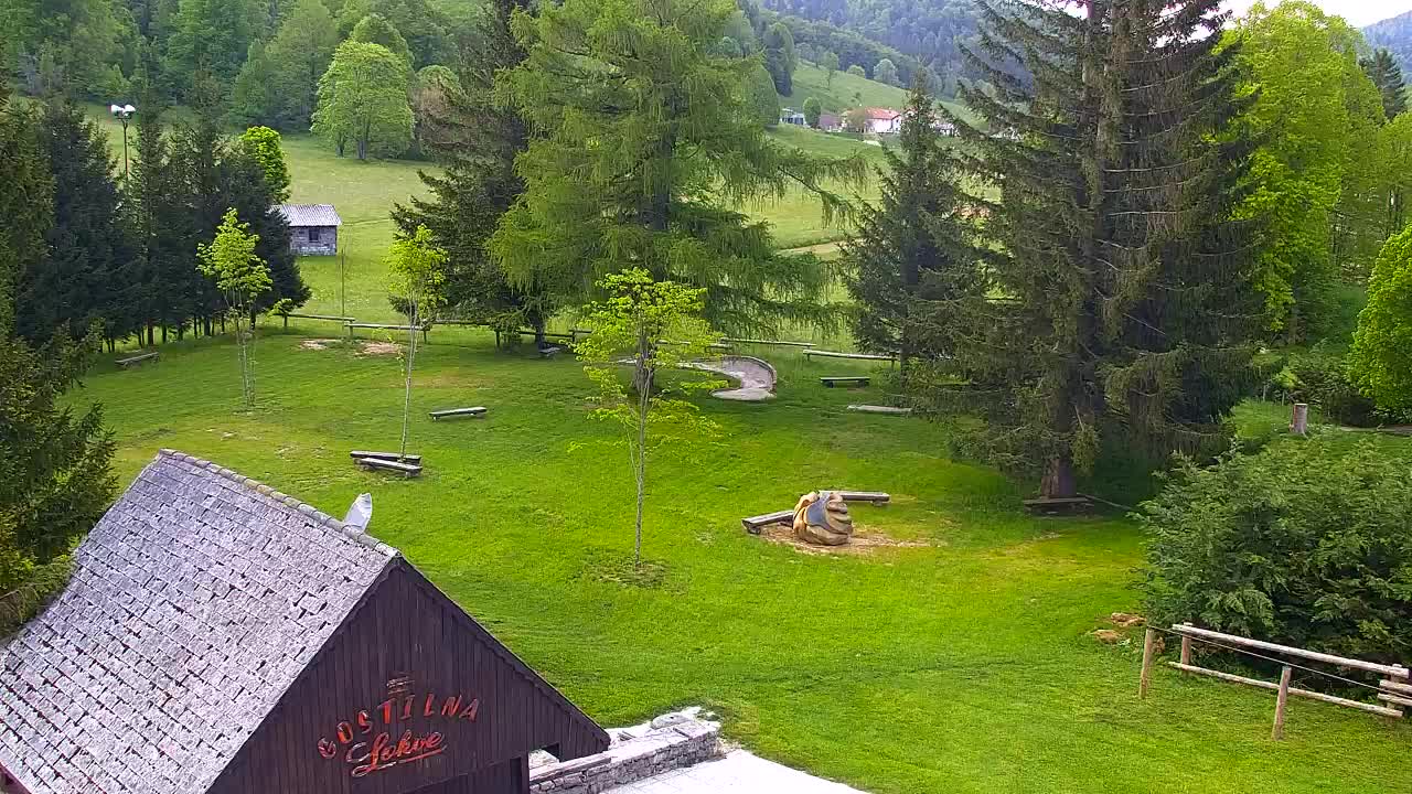 Webcam Lokve – La beauté de la forêt de Trnovo