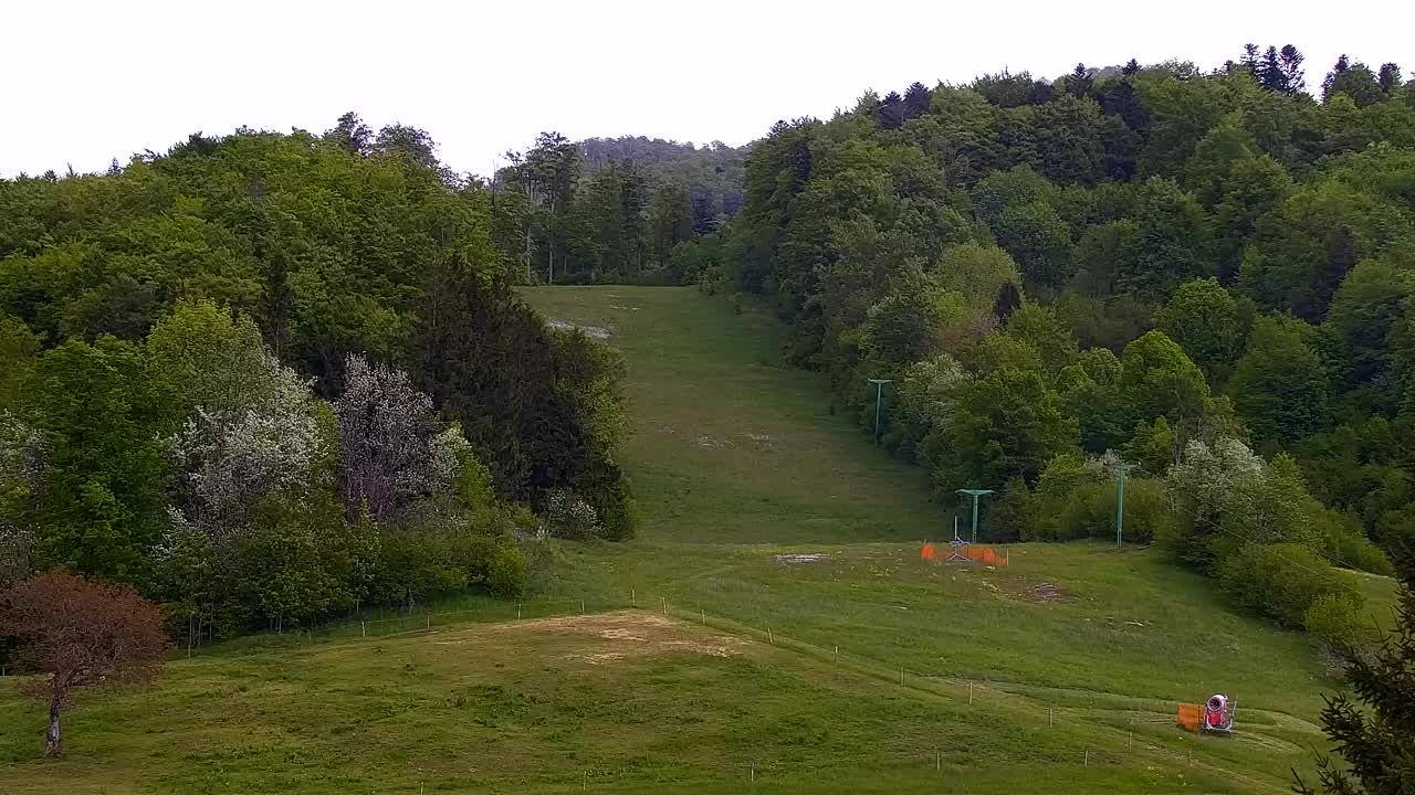 Webcam Lokve – Die Schönheit des Trnovo-Waldes