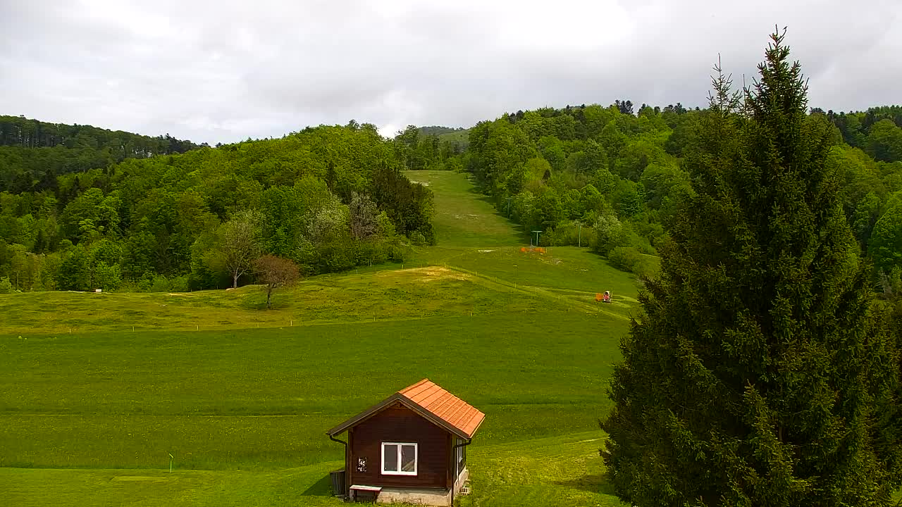 Webcam Lokve – Die Schönheit des Trnovo-Waldes