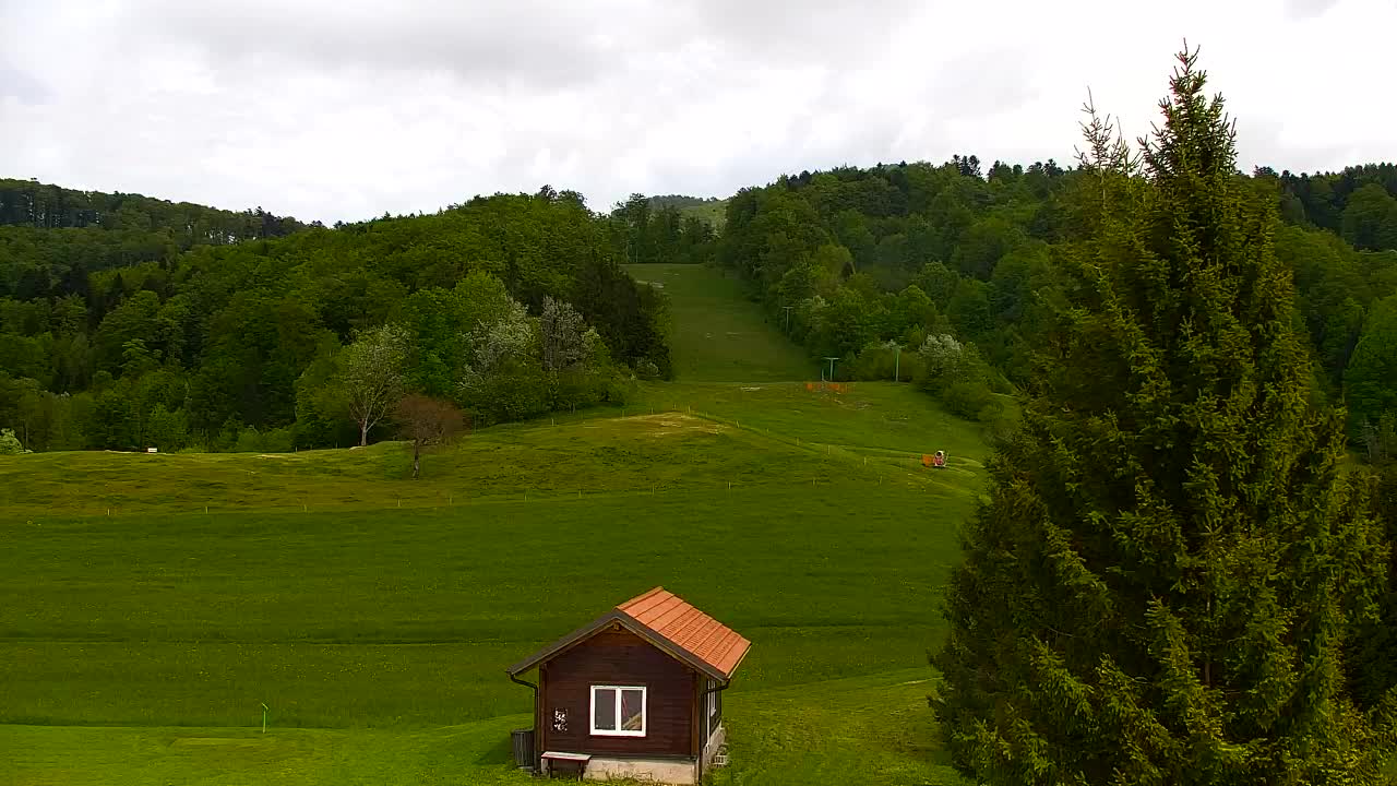 Webcam Lokve – Die Schönheit des Trnovo-Waldes