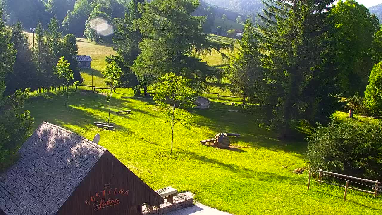 Webcam Lokve – The beauty of the Trnovo forest