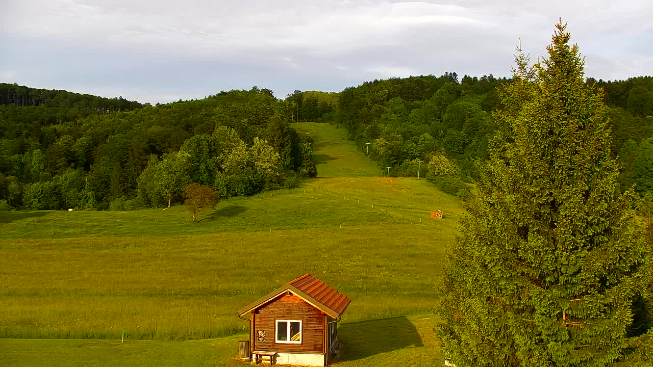 Webcam Lokve – Die Schönheit des Trnovo-Waldes