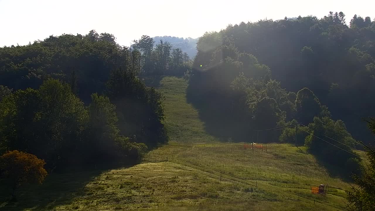 Webcam Lokve – The beauty of the Trnovo forest